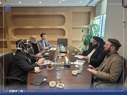 د افغانستان بانک لومړي مرستیال په ترکیه کې د ترکیې د مشارکتی بانکونو د ټولنې له مشر سره ولیدل