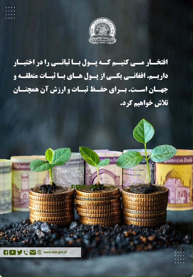 افتخار میکنیم که پول با ثبات را در اختیار داریم