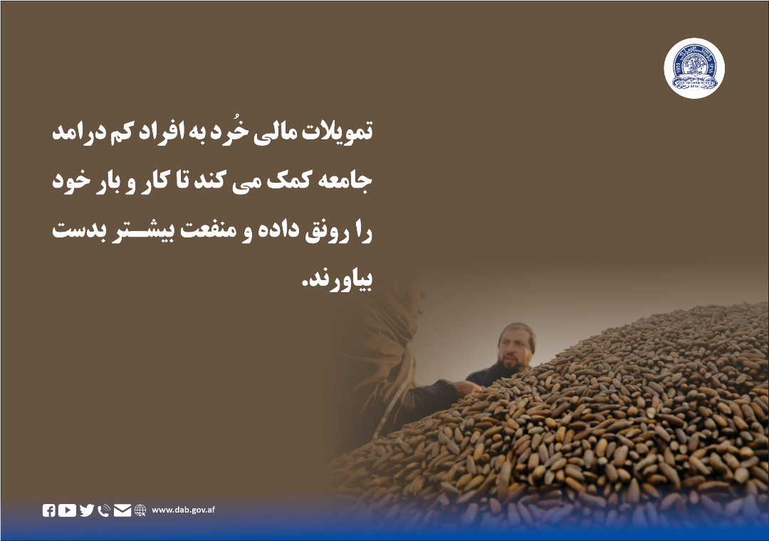تمویلات مالی خُرد به افراد کم درامد جامه کمک می کند