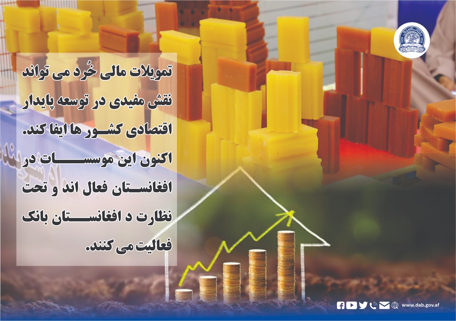 تمویلات مالی خرد می تواند نقش مفیدی در توسعه پایدار اقتصادی کشور ها ایفا کند