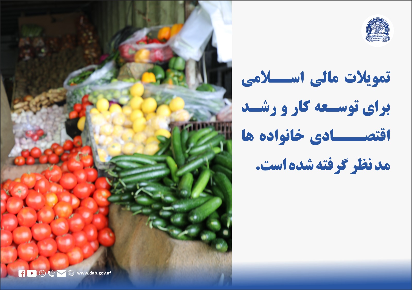 تمویلات مالی خُرد: وسیله موثر برای تقویت اقتصاد های محلی