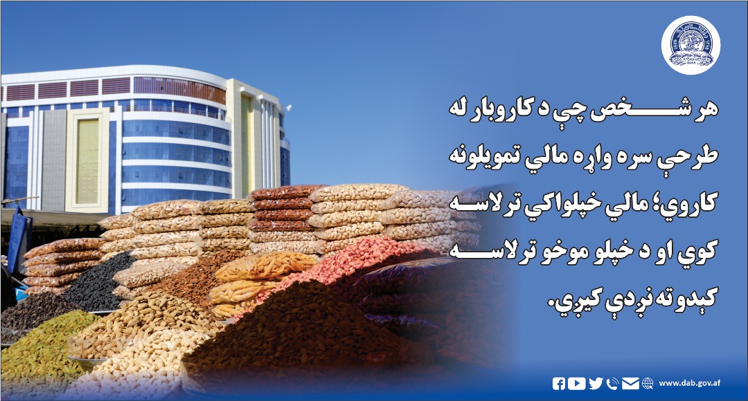 هر شخص چې د کاروبار له طرحې سره واړه مالي تمویلانه کاروي