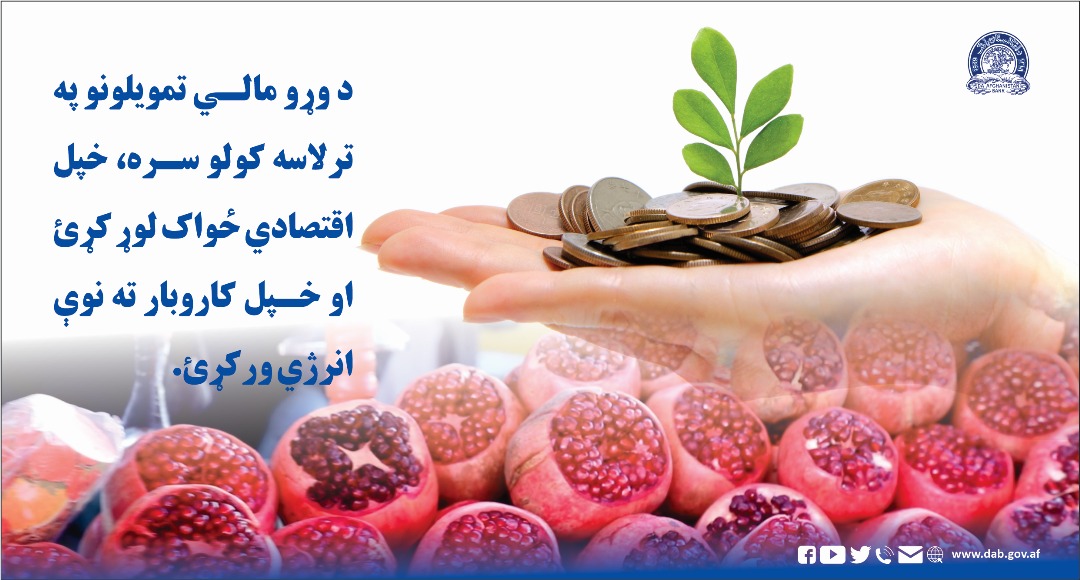 د وړو مالي تمویلونو په ترلاسه کولو سره